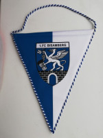/album/na-vymenu-a-predaj-svet/1-fc-bisamberg-23-a-jpg1/